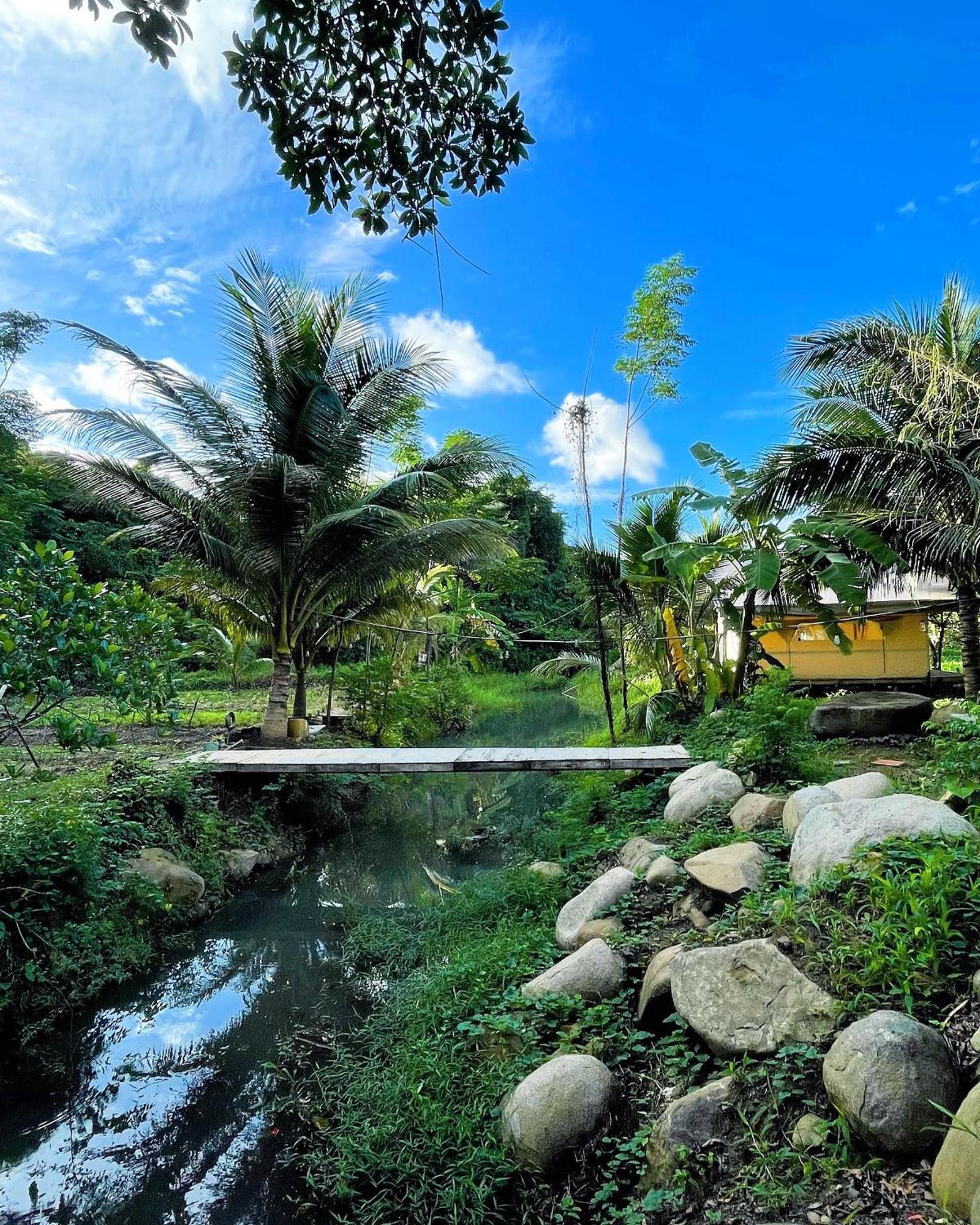 Con Dao Backpacker - Loco Camping Chi Khu Co Ong Exterior foto