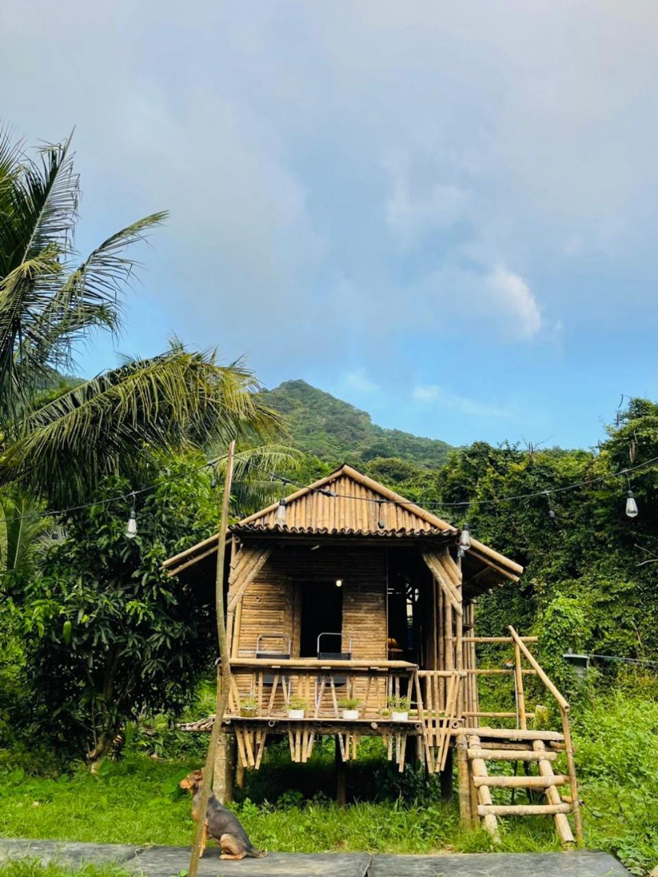 Con Dao Backpacker - Loco Camping Chi Khu Co Ong Exterior foto